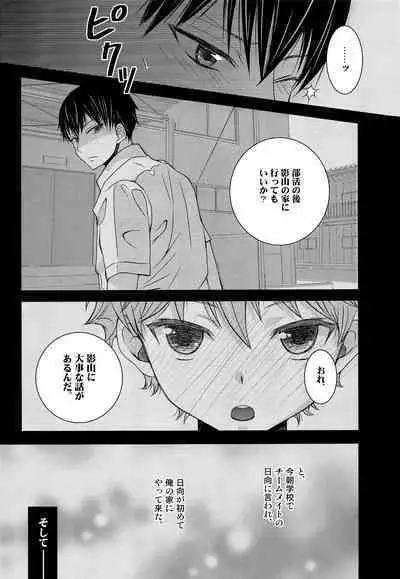 (SUPER COMIC CITY 23) [puniiyu] Hinata to Koi ni Ochiru Made— (Haikyuu!!)