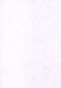 (C68) [Ekitai no Yuusha (Shachi)] Nigorieki