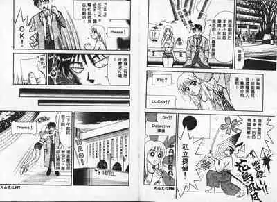 Chousa File H - Investigation File