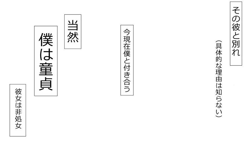 Makoto ni Zannen nagara Anata no Kanojo wa Netoraremashita. Zengohen Set