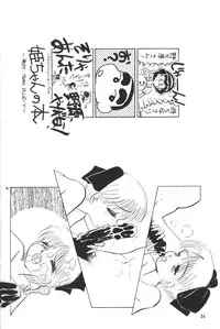 (C45) [Team Plus-Y (Haniwa Pao)] Himeko to Himegoto (Hime-chan's Ribbon)
