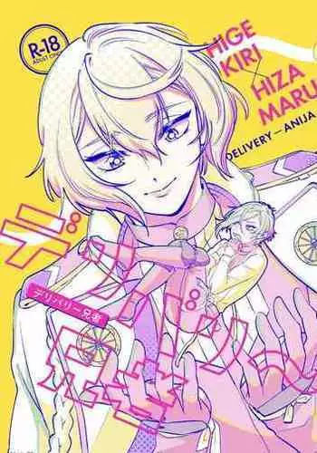 Delivery Anija