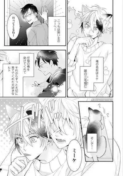 High Spec Danshi ni Natsukareteimasu