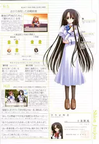 Otome wa boku ni koi shiteru Visual Fanbook (Otoboku)