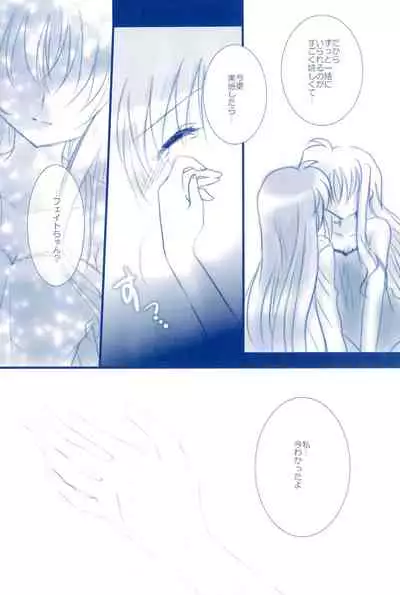 (C85) [Ameiro (Nanashiki)] Love Forever -NanoFei nano Sairoku-shuu 2- (Mahou Shoujo Lyrical Nanoha)