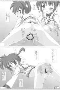 (Mimiket 23) [Testa Kitchen (Testa)] Kyuusai no Nanoha-san ga konnani Seiteki wake ga nai (Mahou Shoujo Lyrical Nanoha)