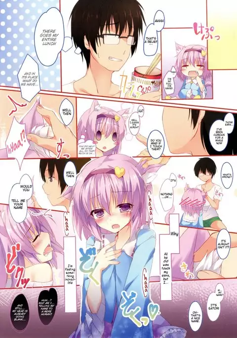 Nyatori-sama, Hiroimashita. | I Found Catori-sama