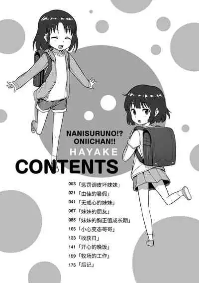[Hayake] Nani Suru no!? Onii-chan!! | 欧尼酱!?你在干什么!! + 附赠DLsite限定特典 [Chinese] [Digital]