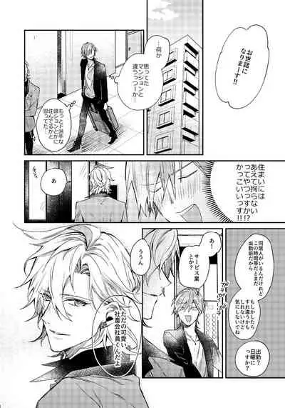 Anata no Sei desu