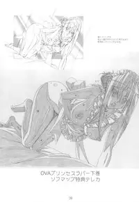 (C79) [SHIMAHOKKE (Kuroda Kazuya)] Shimahokke 13 (Princess Lover!, Akisora)