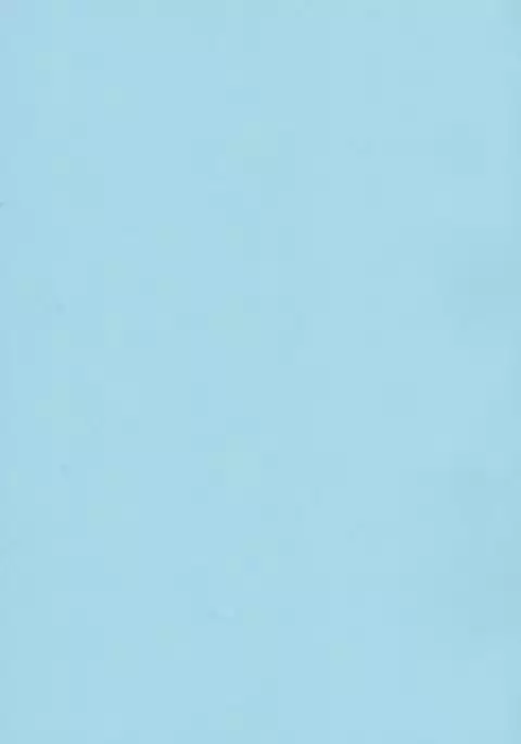 Southern Island's Big Trial