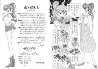 [BLACK DOG (Kuroinu Juu)] SUBMISSION JUPITER (Bishoujo Senshi Sailor Moon)