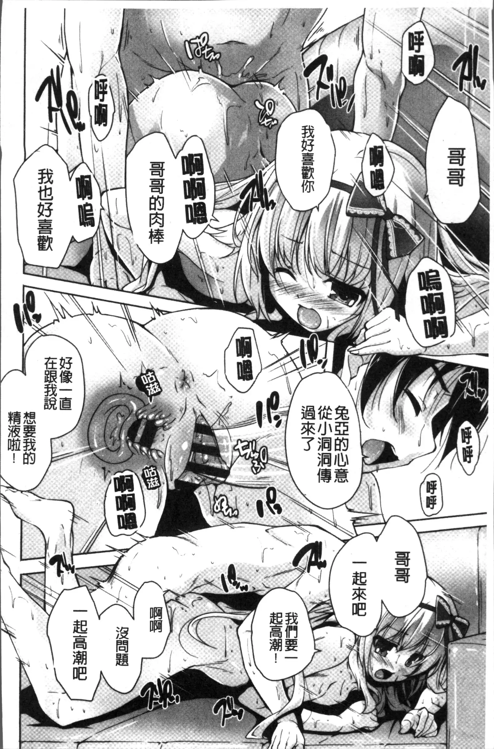 ワガママハイスペック Adult Edition