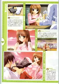 [Yameta Takashi, Sagisawa Anzu, Inuhiko] Colorful Kiss ~12 Ko no Mune Kyun~ Official Fanbook Brilliant Days!