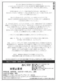 (C84) [Gachinko Shobou (Kobanya Koban)] Netorareta Hime Kihei ~Tsui no Kusari~ Zenpen (Fate/stay night)