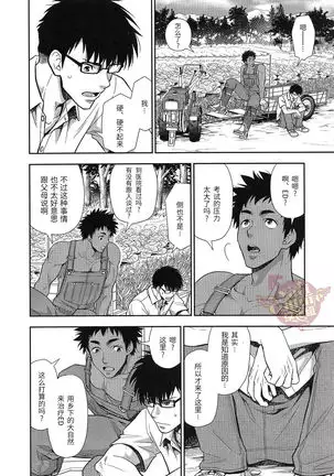 田舎へ帰ろう。