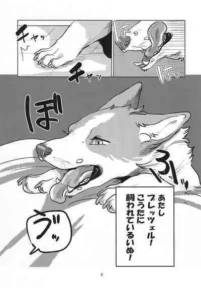 (Kemoket 14) [Nekomata] Enchanted Bread / Cat No Shuukai Jo