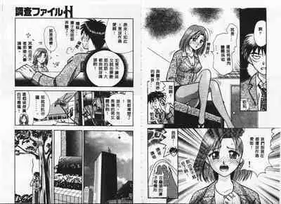 Chousa File H - Investigation File