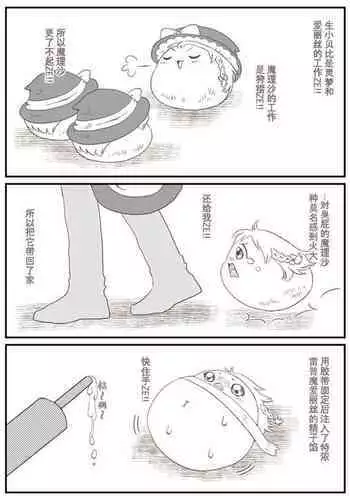 爱丽啾的复仇