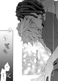 (C80) [Crazy9 (Ichitaka)] Wanko TomShizu no Hon (Durarara!!)