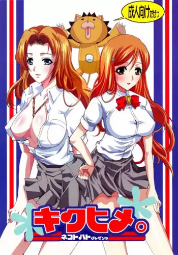 (C91) [A La Fraise (NEKO)] EVER AFTER (Bleach)