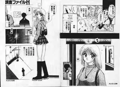 Chousa File H - Investigation File