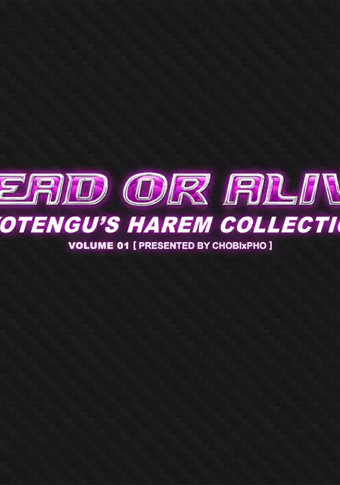 DOA / NYOTENGU'S HAREM COLLECTION