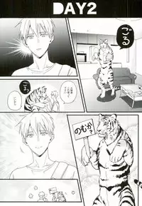 (C88) [FUJIKO (Toriotokonokyoufu)] 1week (Kuroko no Basuke)