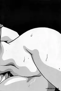 (C52) [Studio Katsudon (Manabe Jouji)] Ura Outlanders Perfect Collection (Various)