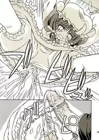 (Reitaisai 2) [Takakuya (Takaku Toshihiko)] Touhou Youjo Ranbu 2 (Touhou Project)