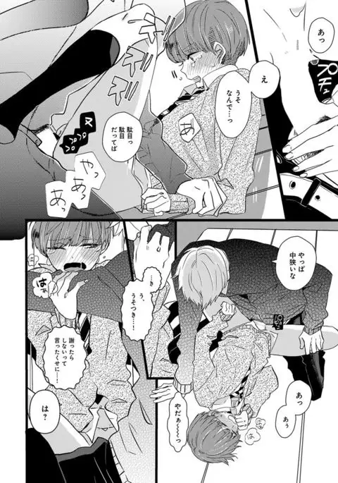 Erotoro ver. SS