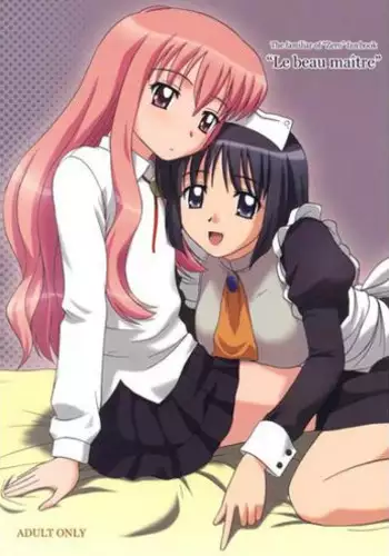 (C79) [G-SCAN CORP. (Satou Chagashi)] Le beau maitre 8 (Zero no Tsukaima) [Chinese] [最愛路易絲澪漢化組]