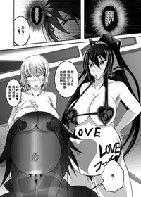 [Bitch Bokujou (Bokujou Nushi K)] GIRLS MEET DQN’S TINPO (IS <Infinite Stratos>) [Chinese] [氪金汉化组] [Digital]