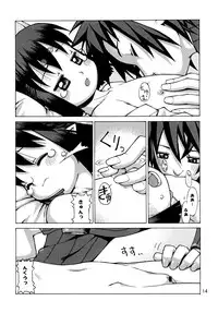 (C70) [Y no Shokutaku (Hamada Yoshikadu)] Munenai (Summon Night)