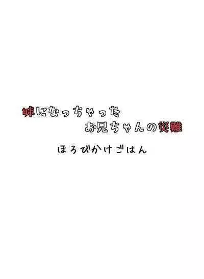 Imouto ni Nacchatta Onii-chan no Sainan