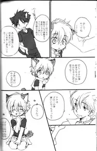 Peach Drop- Arco Iris