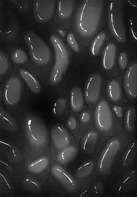 [R.c.W.d] Yami ni Otsu Kunoichi-tachi Third (Taimanin Asagi) [English] [Doujins.com]