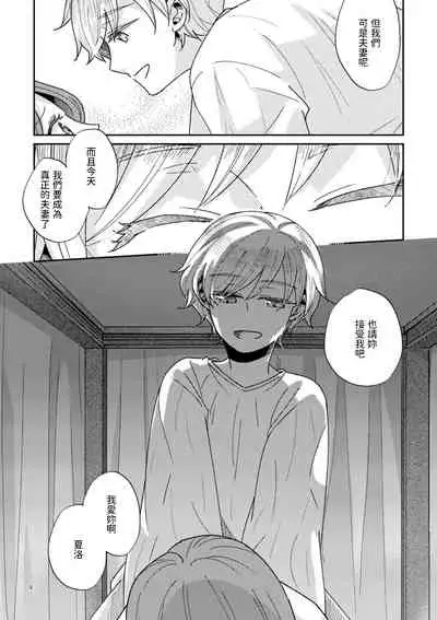 少年王と年上王妃 中文翻譯