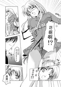 (C74) [TRICKorTREAT (Kagura Tsukune)] InSulT II (Mahou Shoujo Lyrical Nanoha) [Chinese] [靴下汉化组]
