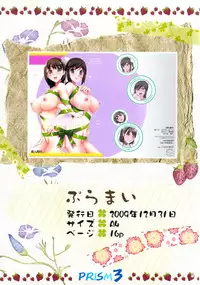 (C82) [Kabayakiya (Unagimaru)] PRISM 3 - Kabayakiya Sariroku shuu (Various)