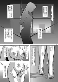 (C69) [Atelier Pinpoint (CRACK)] NIGHTFLY vol.5 EVE of DESTRUCTION (Cat's Eye)