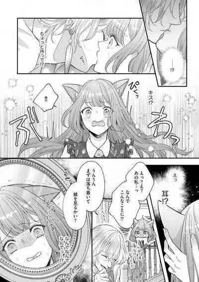 Nene to Ikoku no Mahoutsukai Isekai ni Shoukan Sareta to Omottara, Naze ka Koneko to shite Aigan Saretemasu 1-5