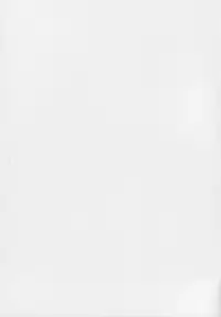 (C73)[Sangatsu No Lion (Don Shigeru)] Fog Field (Darker Than Black)