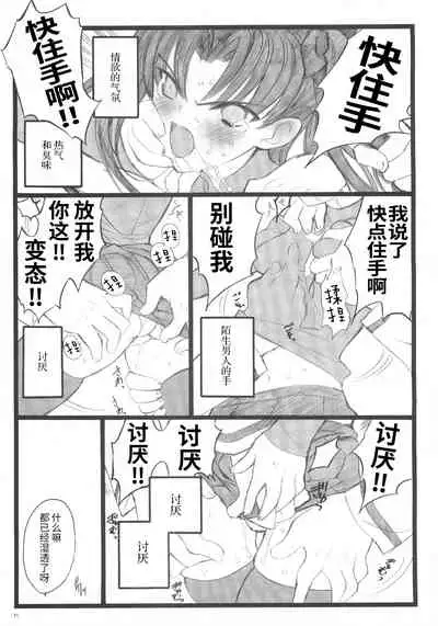 (C70) [Keumaya (Inoue Junichi)] Hyena 2 Walpurgis no Yoru 2 (Fate stay night) [Chinese] [牛肝菌汉化]