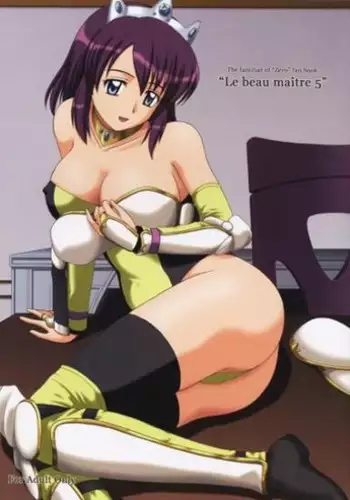 (C79) [G-SCAN CORP. (Satou Chagashi)] Le beau maitre 8 (Zero no Tsukaima) [Chinese] [最愛路易絲澪漢化組]