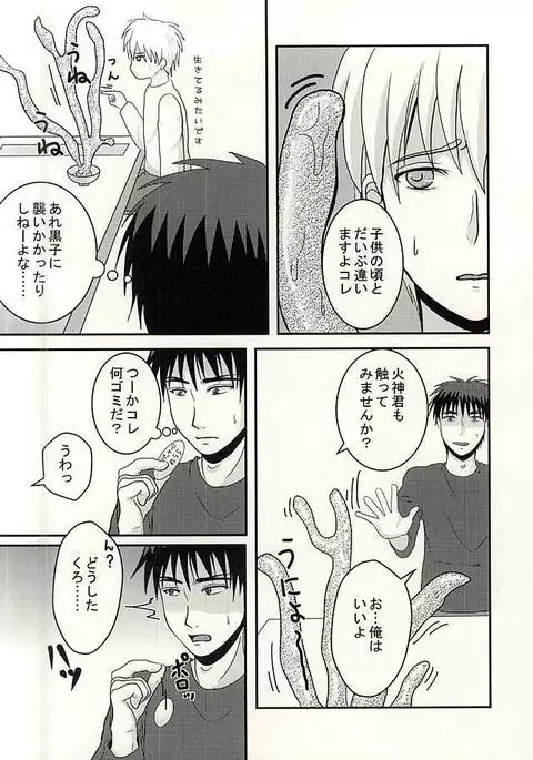 変幻自在のマジカルSYOKUSYU