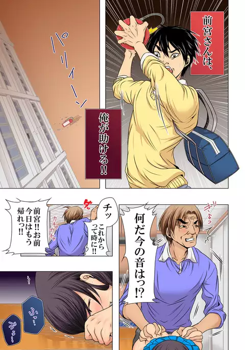 Sukina ko, Rape, Fukushuu, Netori