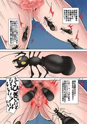 Quest of Curse Dai 2-shou Colorized