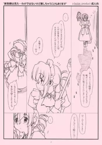 [bolze.] kaseifu wa mita ... wake de ha nai kedo sasshi chau koto mo ari masu (hayate no gotoku!)