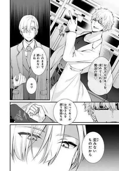 Ani o Yome ni Metorimasu ～ Kondo wa Tebanasanai ～ R18 Edition Vol. 1-4